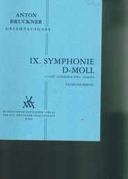 Sinfonie 9 D - Moll (1894)