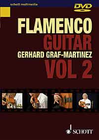 Flamenco Guitar 2