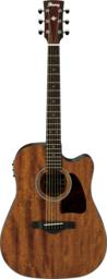 Ibanez AW 54 CE OPN ARTWOOD
