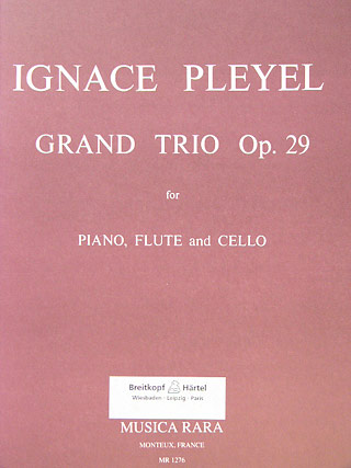 Grand Trio Op 29