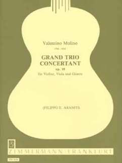 Grand Trio Concertant Op 10