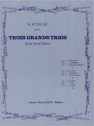 Grand Trio 1 E - Moll Op 86/1