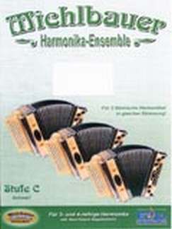 Harmonika Ensemble 1 Stufe C