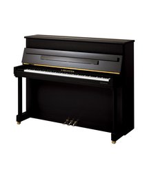 C. Bechstein  Residence R6 Classic
