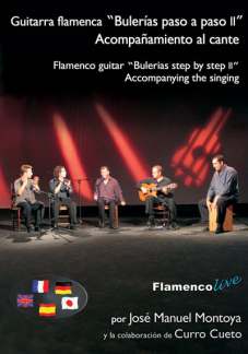 Guitarra Flamenca Bulerias Paso A Paso 2