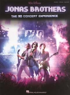The 3d Concert Experience