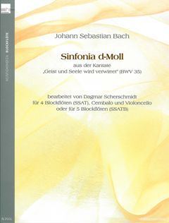 Sinfonia D - Moll (geist Und Seele Wird Verwirret Bwv 35)