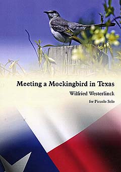 Meeting A Mockingbird In Texas