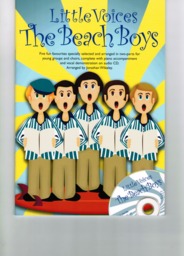 Little Voices The Beach Boys