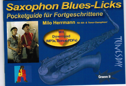 Saxophon Blues Licks