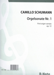 Sonate 1 D - Moll Op 12