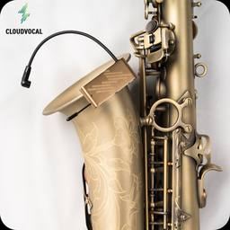 Cloudvocal ISOLO CHOICE SAXOPHONE