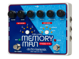 Electro Harmonix DELUXE MEMORY MAN 1100 TT