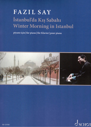 Winter Morning In Istanbul