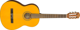Fender ESC-105