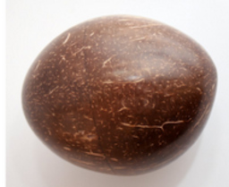 Terre Egg Shaker Kokosnuss