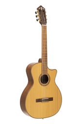 Crafter SNT-530CE