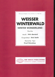 Weisser Winterwald (Winter Wonderland)