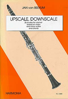 Upscale Downscale