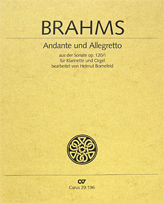 Andante + Allegro Op 120/1