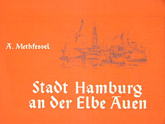Stadt Hamburg An Der Elbe Auen