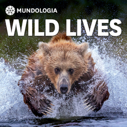 MUNDOLOGIA: Wild Lives