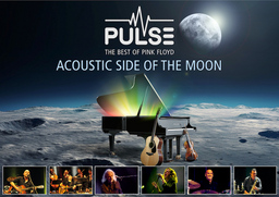 Pulse - Acoustic Side Of The Moon
