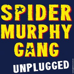 Spider Murphy Gang unplugged Akustik - Open Air