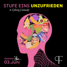 STUFE EINS UNZUFRIEDEN - A Cyborg Comedy - Von Elena Messner & Gabriele Schelle