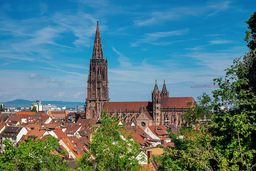 Öffentliche Stadtführung Freiburg mit Besuch des Münsters 2024 - Freiburger Altstadtführung mit Besuch des Münsters