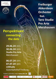 Perspektiven - connecting the dots - Crossgenre Projekt - Musik und Tanz