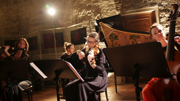 J.-Ph. Rameau: Pièces de clavecin en concert