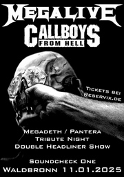 Tribute to Pantera + Megadeth