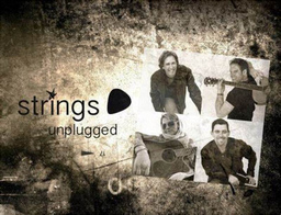 Strings Unplugged performt eigenwillige Akustik Covers von Pink Floyd bis Sarah Connor