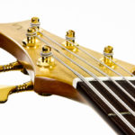 Gitarrenbau Christian Stoll: Akustik-Bass Fanned Frets IQ Bass
