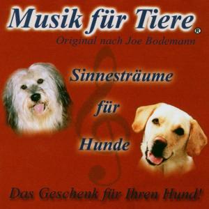 Musik Für Tiere - Hund