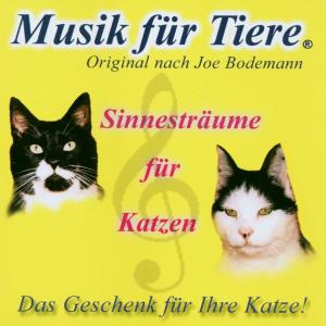Musik Für Tiere - Katze