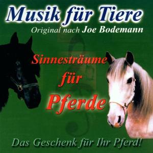 Musik Für Tiere - Pferd