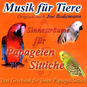 Musik Für Tiere - Papageien