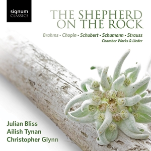The Shepherd on the Rock / +