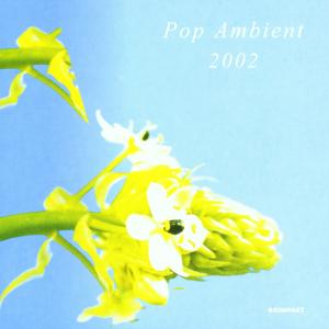 Pop Ambient 2002-