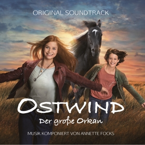 Ostwind 5- Der grosse Orkan