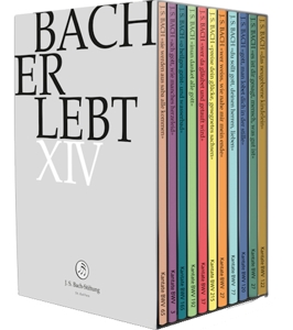 Bach Erlebt XIV