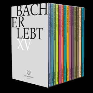 Bach Erlebt XV