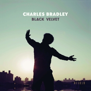 Black Velvet (LP+MP3)