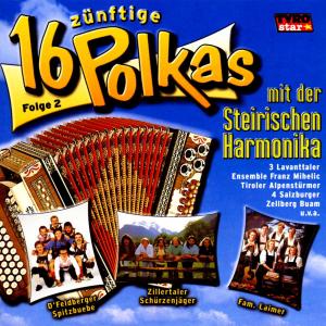 16 Zünftige Polkas Mit Der Steirischen Harmonika