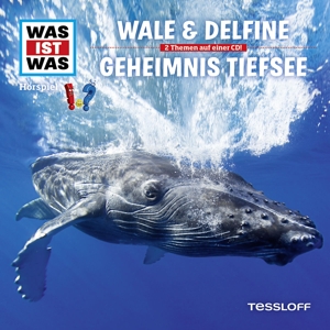 Folge 13: Wale & Delfine / Geheimnis Tiefsee