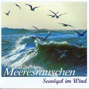 MEERESRAUSCHEN - Seevögel im Wind